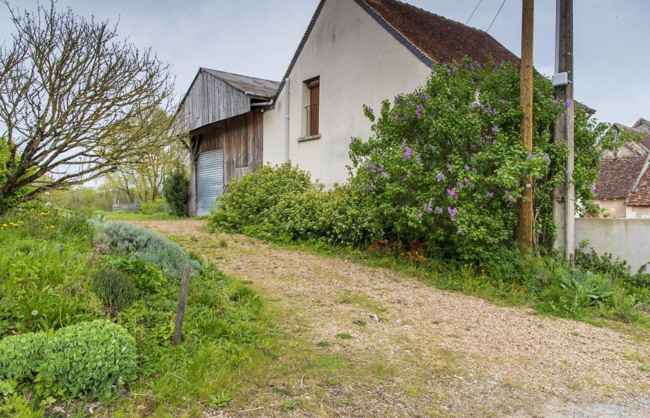 Le Beverly A 9 Min De Beauval Chateauvieux  Luaran gambar